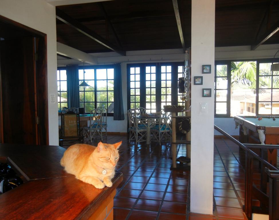 Hotel The Cats' House Florianópolis Exteriér fotografie