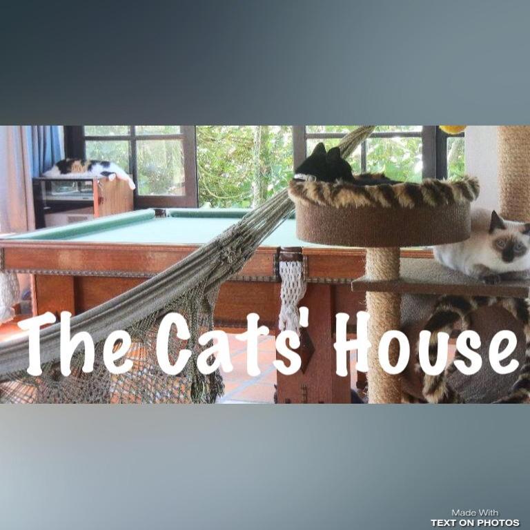 Hotel The Cats' House Florianópolis Exteriér fotografie