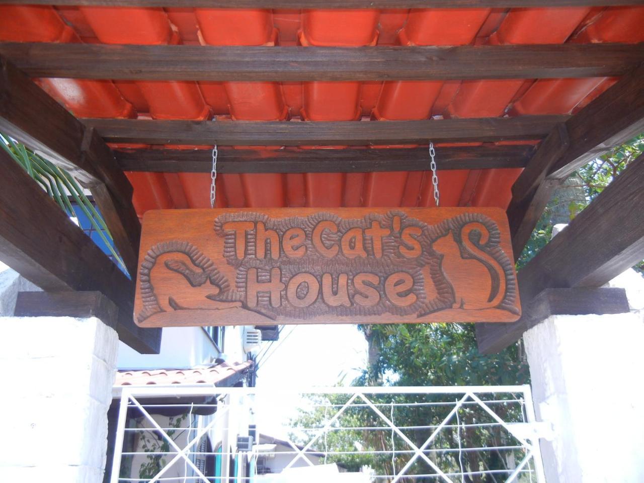 Hotel The Cats' House Florianópolis Exteriér fotografie